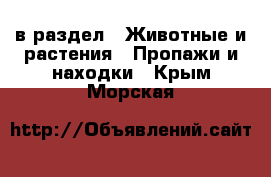  в раздел : Животные и растения » Пропажи и находки . Крым,Морская